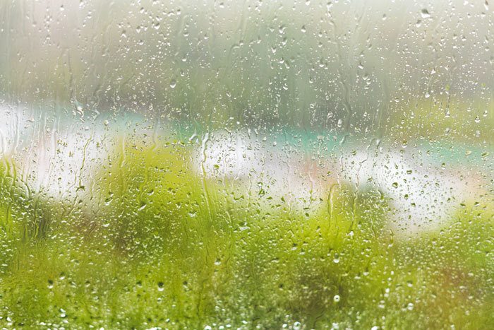 Your Rainy Weather Painting Questions Answered