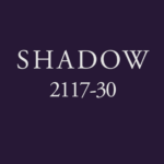 Paint Card - Shadow 2117-30