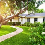 front yard with house and trees