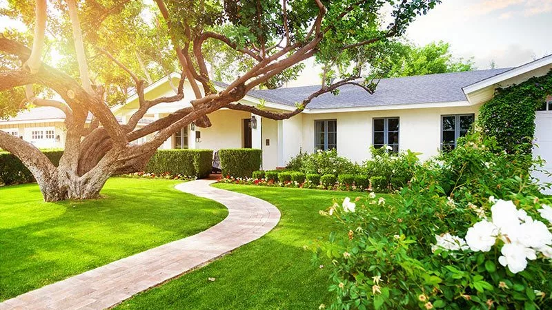 front yard with house and trees