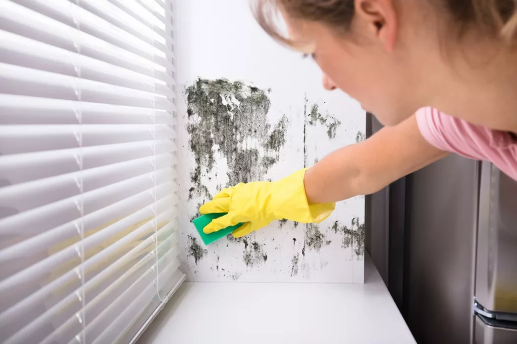 Woman's face, arm, and yellow-gloved hand. She's cleaning mold off a wall near a window blinds with a sponge.