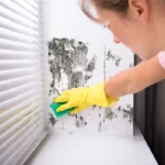Woman cleaning off mildew from interior paint caused by humidity damage