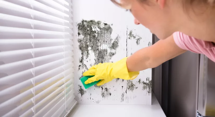 Woman cleaning off mildew from interior paint caused by humidity damage