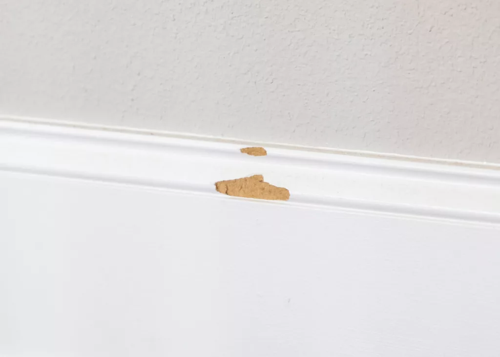 A damaged white baseboard, missing a chunk of wood