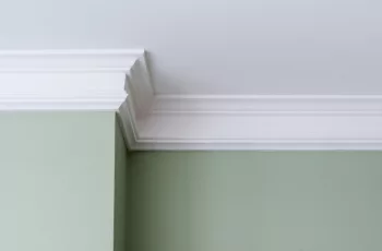 A sage green wall with white interior trim