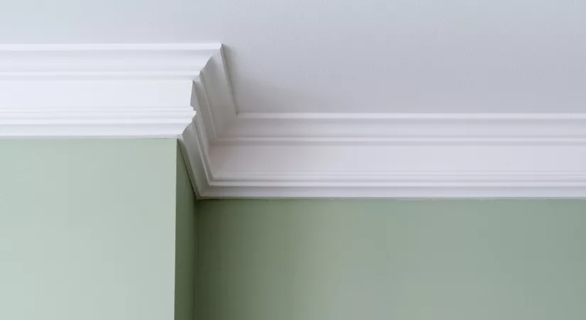 A sage green wall with white interior trim